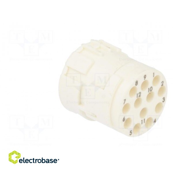 Connector: M23 | contact insert | PIN: 12 | female | for cable | 8A | 200V paveikslėlis 4