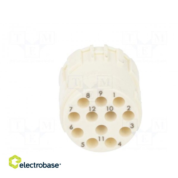 Connector: M23 | contact insert | PIN: 12 | female | for cable | 8A | 200V image 5