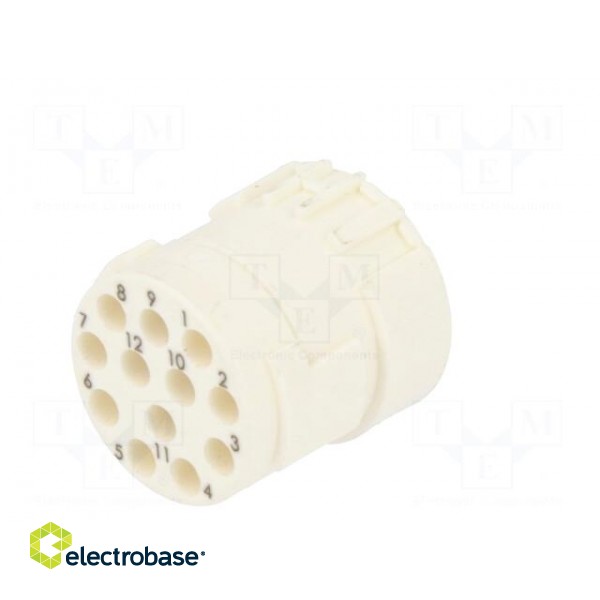 Connector: M23 | contact insert | PIN: 12 | female | for cable | 8A | 200V paveikslėlis 6