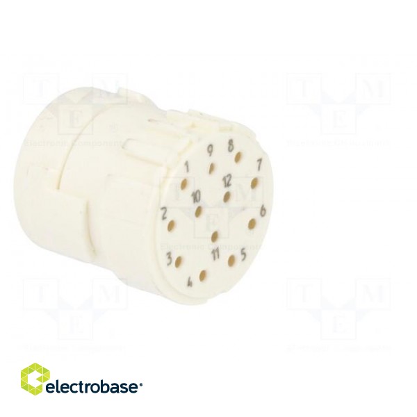Connector: M23 | contact insert | PIN: 12 | female | for cable | 8A | 200V image 8