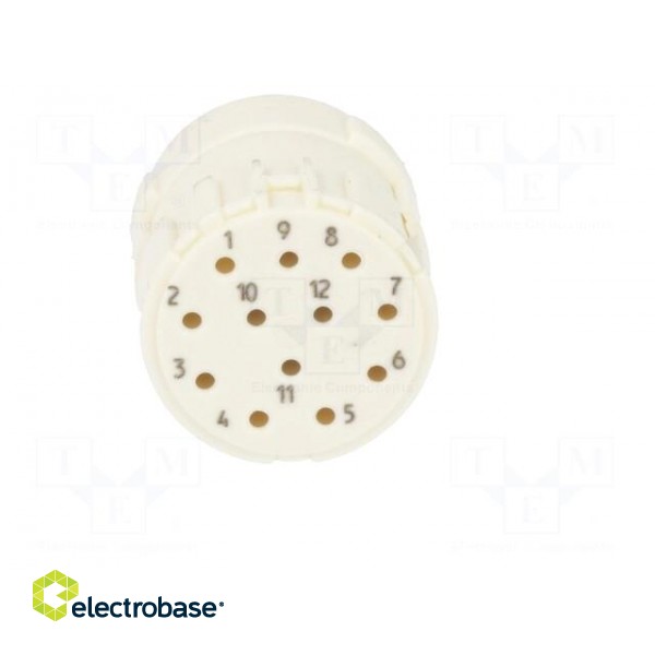 Connector: M23 | contact insert | PIN: 12 | female | for cable | 8A | 200V image 9