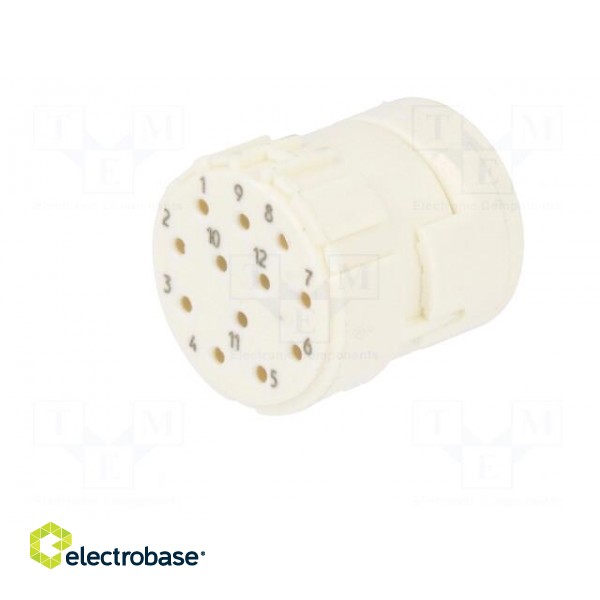 Connector: M23 | contact insert | PIN: 12 | female | for cable | 8A | 200V paveikslėlis 2
