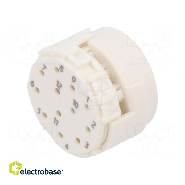 Connector: M23 | contact insert | PIN: 12 | male | for cable | 8A | 200V фото 1