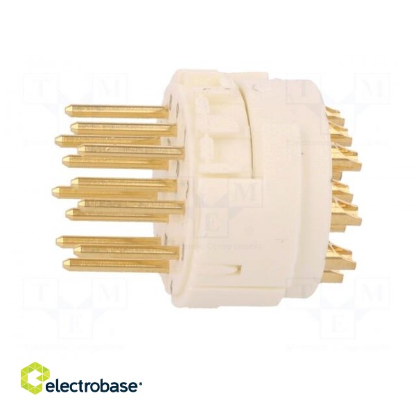 Connector: M23 | contact insert | PIN: 12 | male | soldering | 200V | 8A paveikslėlis 3