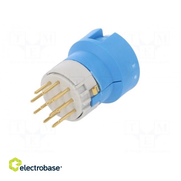 Connector: M23 | contact insert | PIN: 12 | male | soldering | for cable paveikslėlis 2