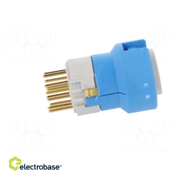 Connector: M23 | contact insert | PIN: 12 | male | soldering | for cable image 3