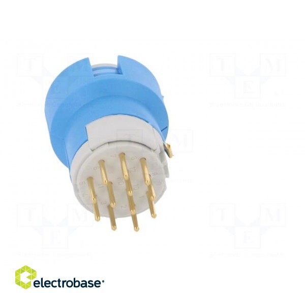 Connector: M23 | contact insert | PIN: 12 | male | soldering | for cable paveikslėlis 9