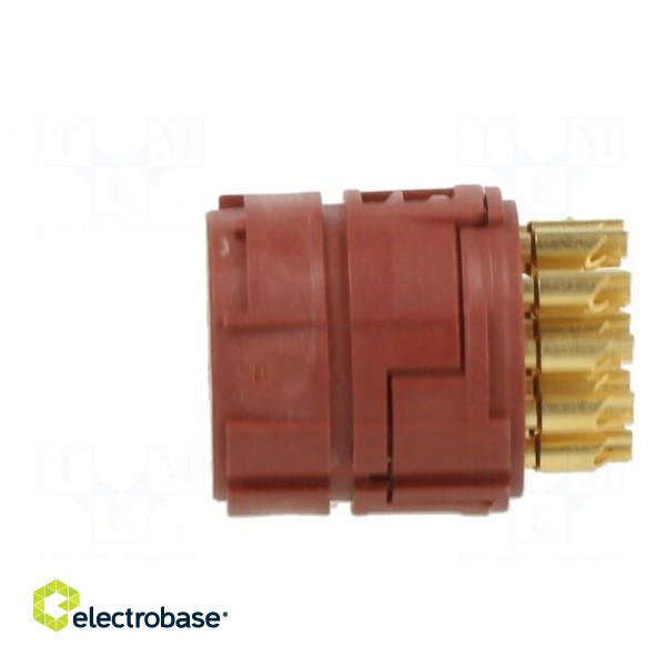 Connector: M23 | contact insert | PIN: 16 | soldering | 7A | 100V paveikslėlis 3