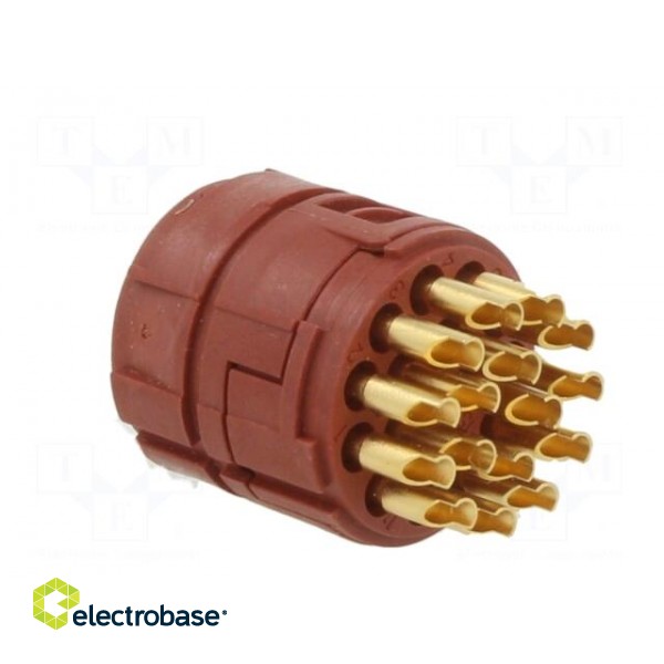 Connector: M23 | contact insert | PIN: 16 | soldering | 7A | 100V image 4
