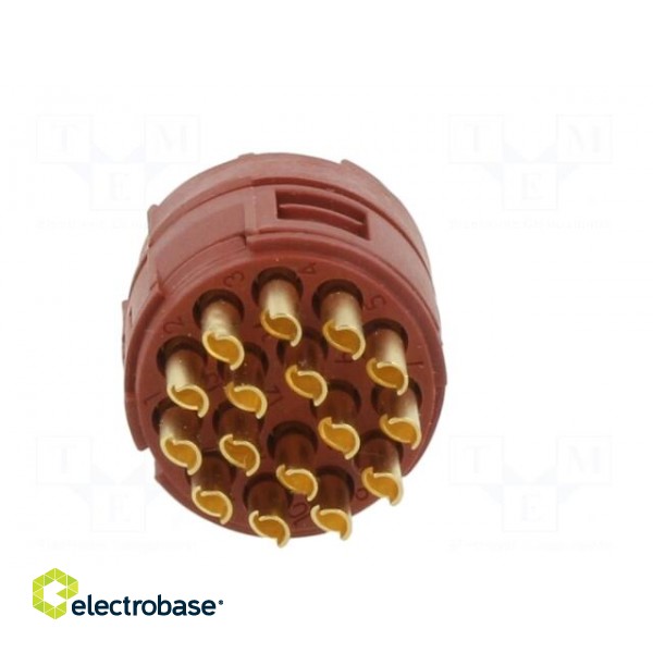 Connector: M23 | contact insert | PIN: 16 | soldering | 7A | 100V фото 5