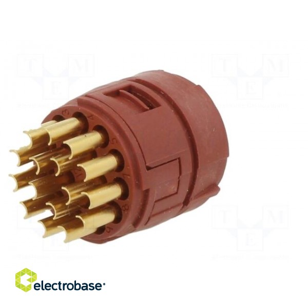 Connector: M23 | contact insert | PIN: 16 | soldering | 7A | 100V фото 6