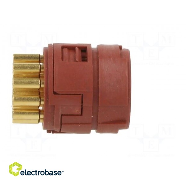 Connector: M23 | contact insert | PIN: 16 | soldering | 7A | 100V image 7