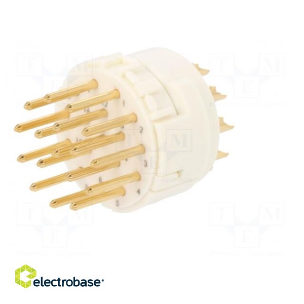 Connector: M23 | contact insert | PIN: 17 | male | soldering | 160V | 8A image 2