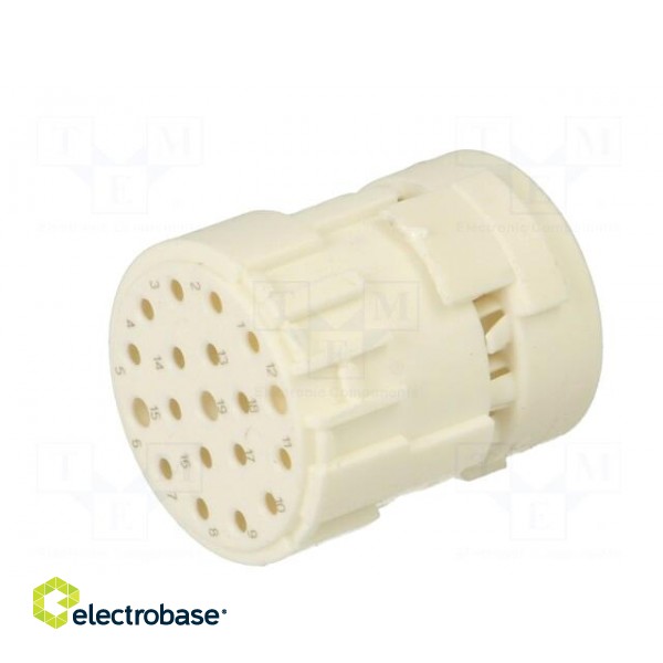 Connector: M23 | contact insert | PIN: 19(3+16) | female | crimped image 2