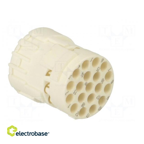 Connector: M23 | contact insert | PIN: 19(3+16) | female | crimped paveikslėlis 4