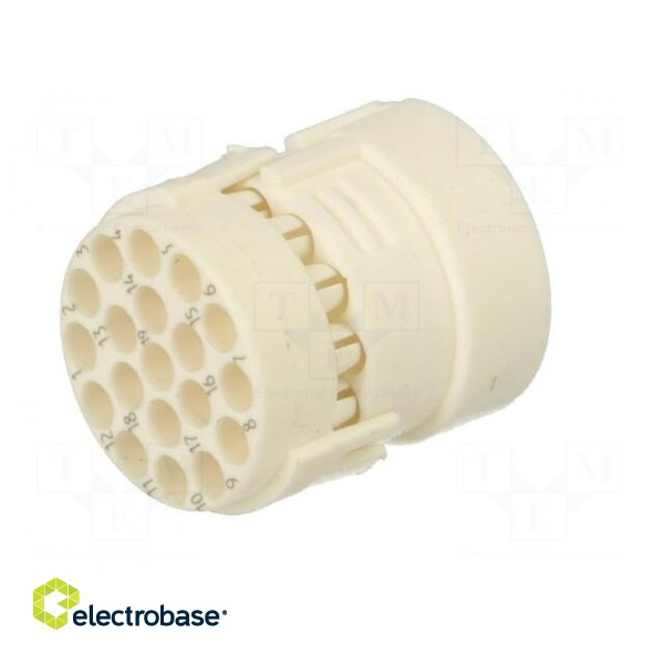 Connector: M23 | contact insert | PIN: 19(3+16) | female | crimped фото 6