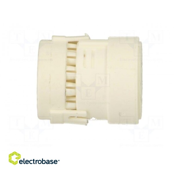 Connector: M23 | contact insert | PIN: 19(3+16) | female | crimped image 7