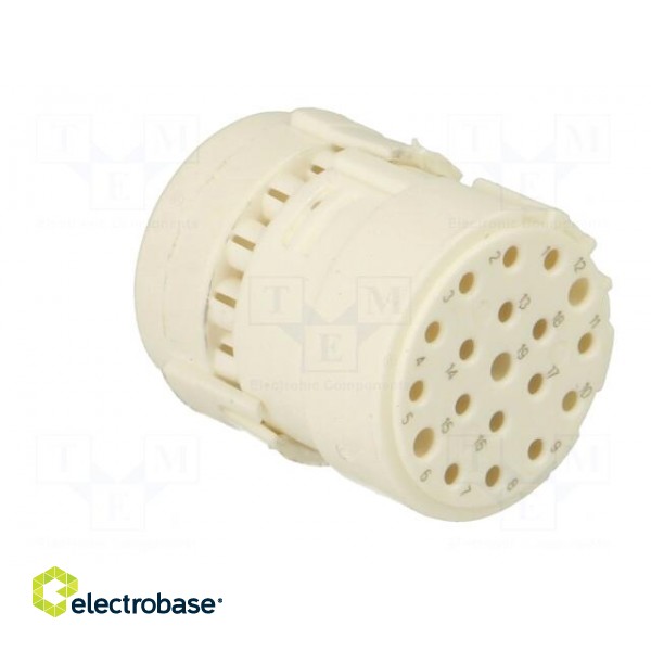 Connector: M23 | contact insert | PIN: 19(3+16) | female | crimped paveikslėlis 8