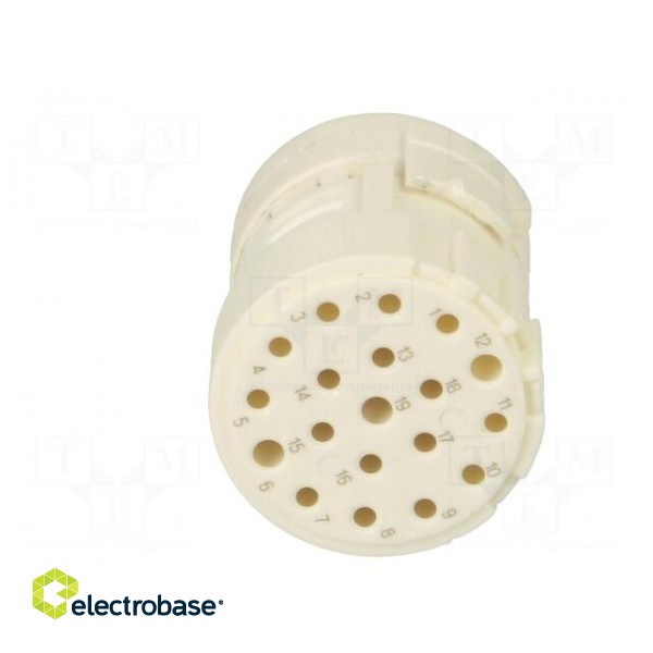 Connector: M23 | contact insert | PIN: 19(3+16) | female | crimped фото 9