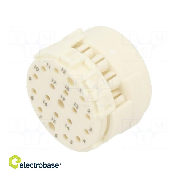 Connector: M23 | contact insert | PIN: 19(3+16) | male | crimped | 100V paveikslėlis 1