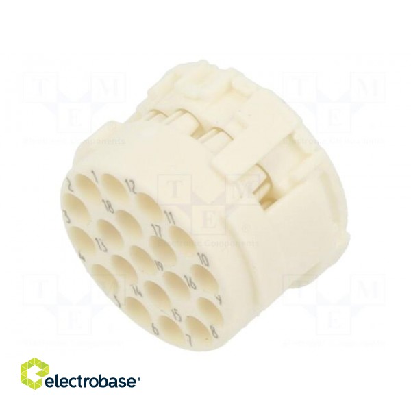 Connector: M23 | contact insert | PIN: 19(3+16) | male | crimped | 100V paveikslėlis 2