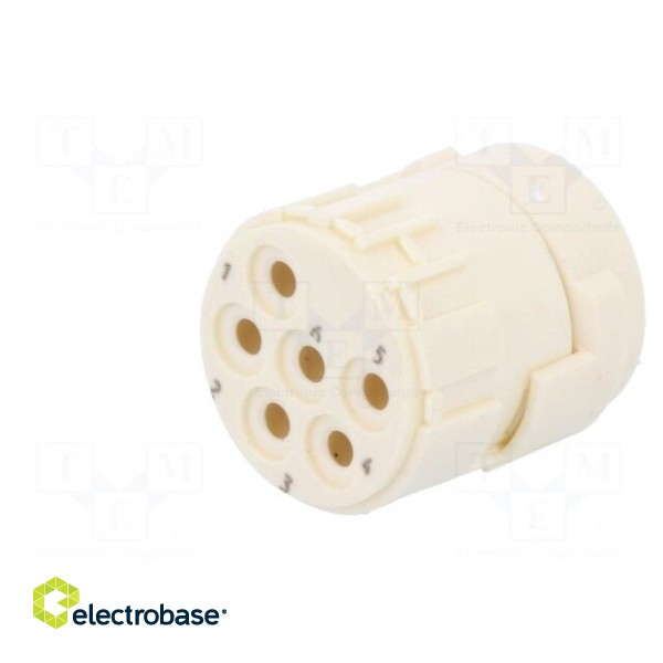 Connector: M23 | PIN: 6 | female | crimped | w/o contacts | 300V | 20A image 2
