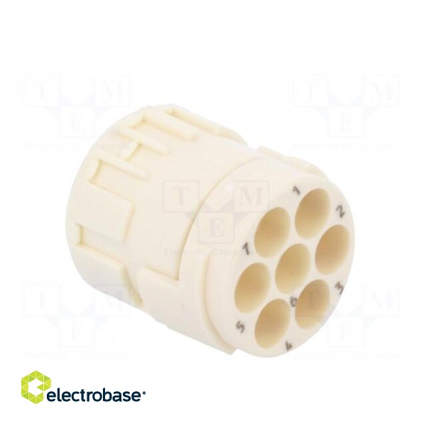 Connector: M23 | PIN: 6 | female | crimped | w/o contacts | 300V | 20A image 4