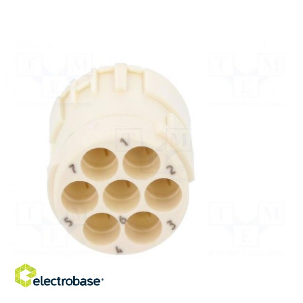 Connector: M23 | PIN: 6 | female | crimped | w/o contacts | 300V | 20A paveikslėlis 5