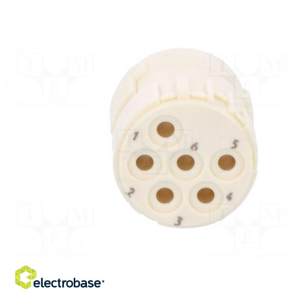 Connector: M23 | PIN: 6 | female | crimped | w/o contacts | 300V | 20A image 9