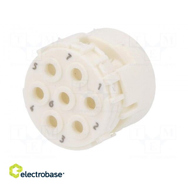 Connector: M23 | contact insert | PIN: 7 | male | crimped | w/o contacts фото 2