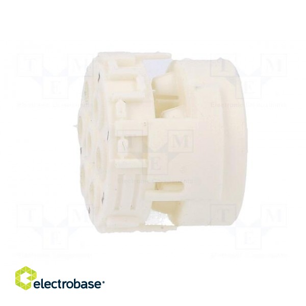 Connector: M23 | contact insert | PIN: 7 | male | crimped | w/o contacts image 3