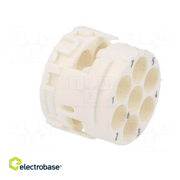 Connector: M23 | contact insert | PIN: 7 | male | crimped | w/o contacts фото 4