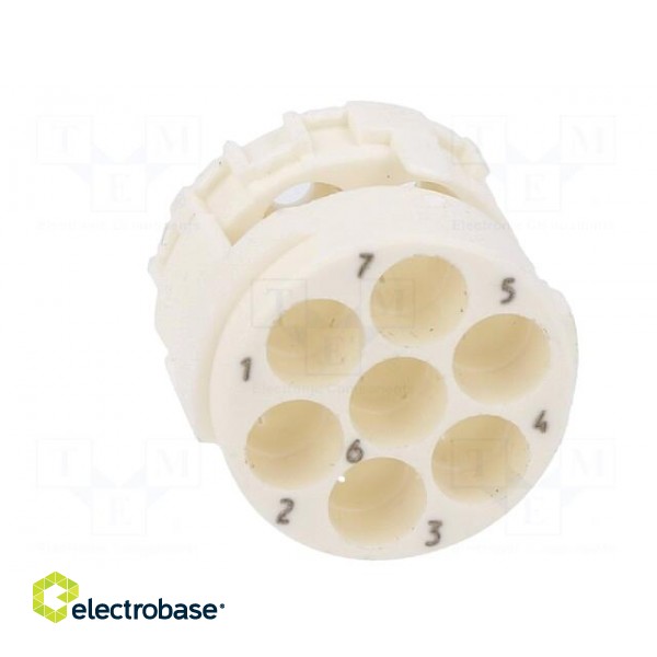 Connector: M23 | contact insert | PIN: 7 | male | crimped | w/o contacts image 5