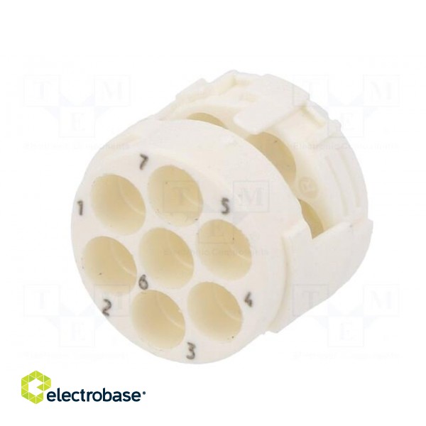 Connector: M23 | contact insert | PIN: 7 | male | crimped | w/o contacts фото 6