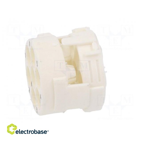 Connector: M23 | contact insert | PIN: 7 | male | crimped | w/o contacts фото 7