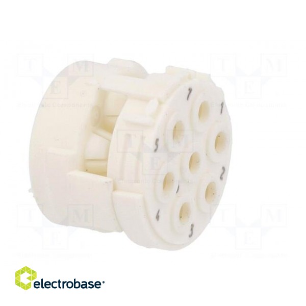 Connector: M23 | contact insert | PIN: 7 | male | crimped | w/o contacts image 8