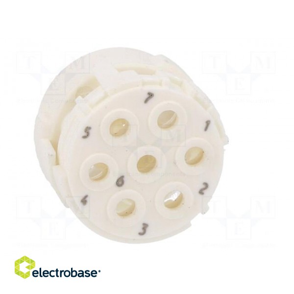Connector: M23 | contact insert | PIN: 7 | male | crimped | w/o contacts фото 9