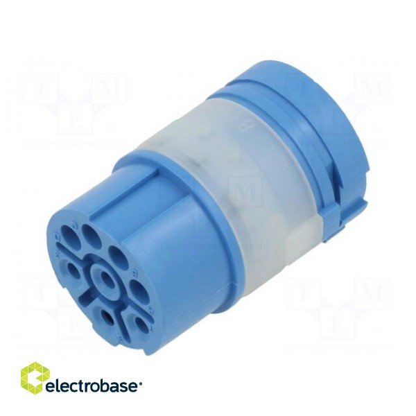 Connector: M23 | contact insert | PIN: 8(4+4) | female | crimped image 1