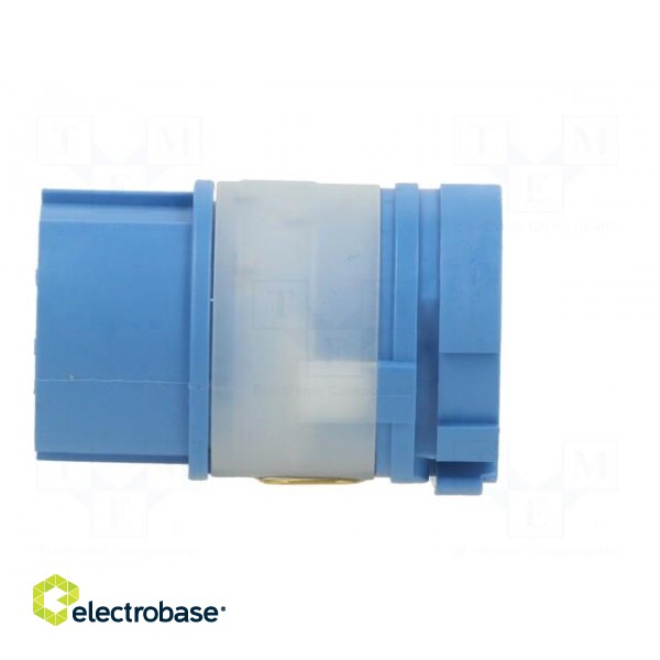 Connector: M23 | contact insert | PIN: 8(4+4) | female | crimped image 3