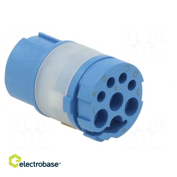 Connector: M23 | contact insert | PIN: 8(4+4) | female | crimped image 4
