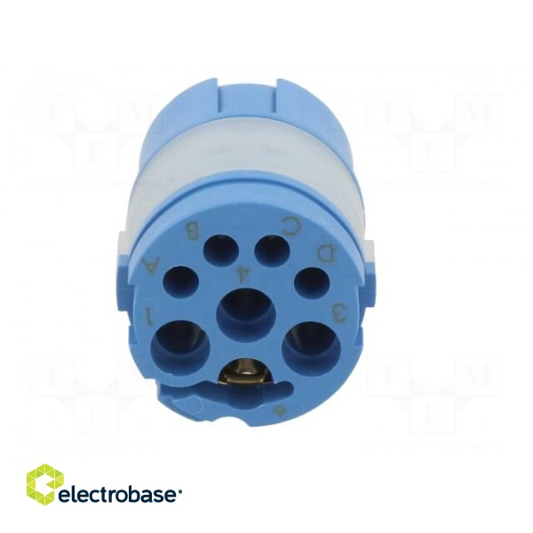 Connector: M23 | contact insert | PIN: 8(4+4) | female | crimped image 5