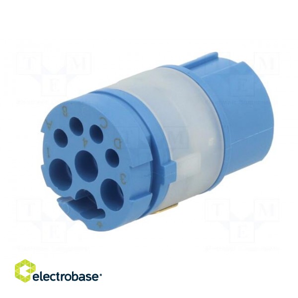 Connector: M23 | contact insert | PIN: 8(4+4) | female | crimped image 6
