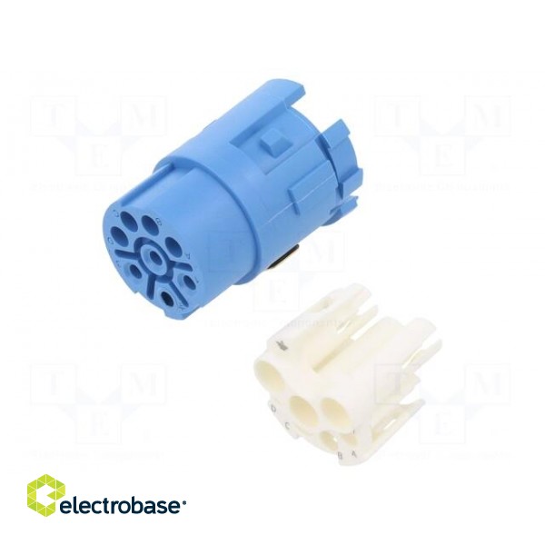 Connector: M23 | contact insert | PIN: 8(4+4) | female | for cable фото 1