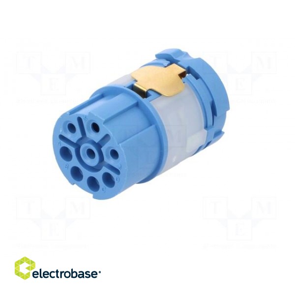 Connector: M23 | contact insert | PIN: 8(4+4) | female | for cable paveikslėlis 2