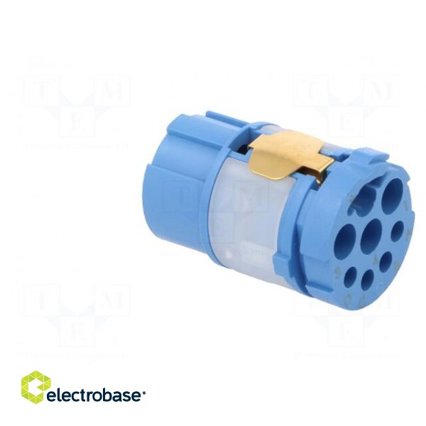 Connector: M23 | contact insert | PIN: 8(4+4) | female | for cable image 4