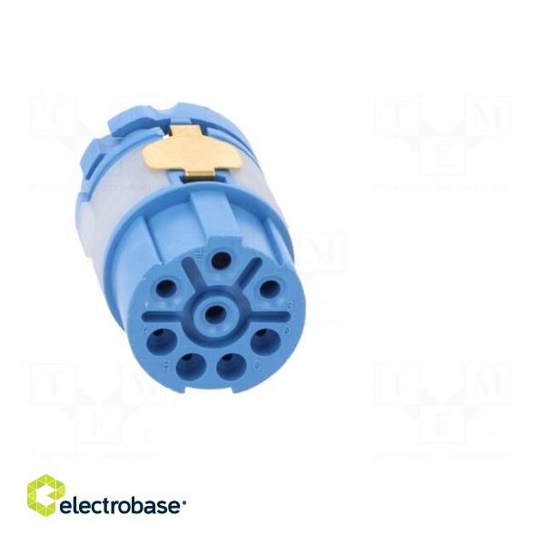 Connector: M23 | contact insert | PIN: 8(4+4) | female | for cable image 9