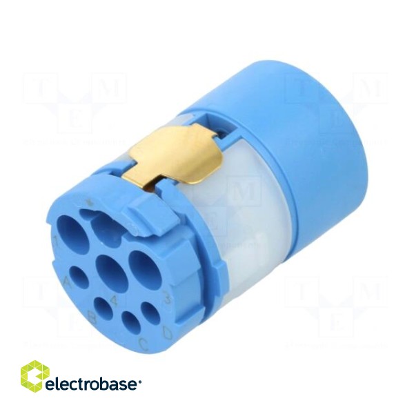 Connector: M23 | contact insert | PIN: 8(4+4) | male | crimped image 2
