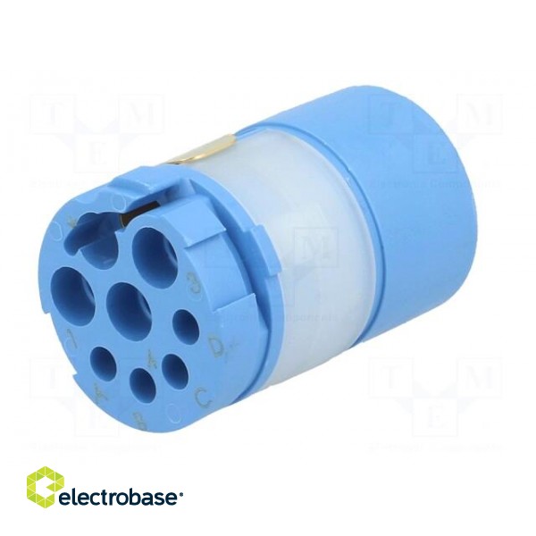 Connector: M23 | contact insert | PIN: 8(4+4) | male | for cable фото 2