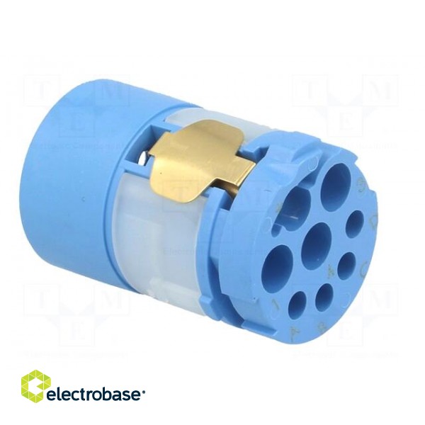 Connector: M23 | contact insert | PIN: 8(4+4) | male | for cable paveikslėlis 8