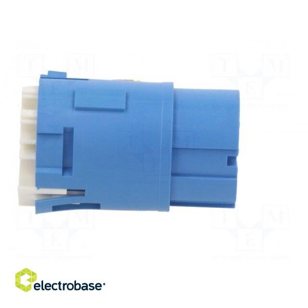 Connector: M23 | contact insert | PIN: 9(4+5) | female | crimped paveikslėlis 7
